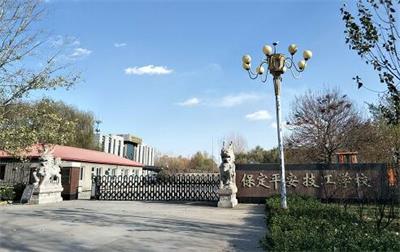 學(xué)習(xí)高鐵乘務(wù)專業(yè)怎么樣？   