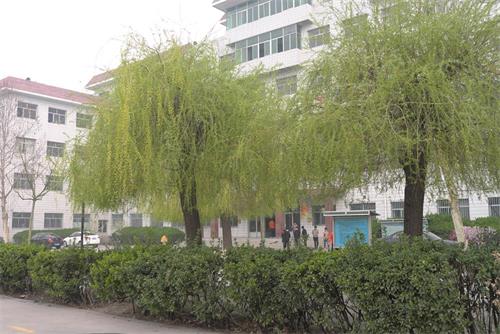 學(xué)習(xí)高鐵乘務(wù)專(zhuān)業(yè)怎么樣？   