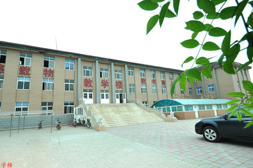 滄州國興職業(yè)技術(shù)學(xué)校哪些專業(yè)比較不錯？