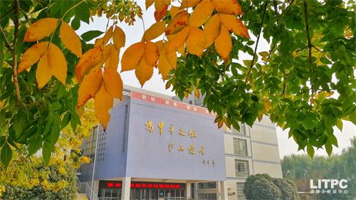 洛陽學(xué)電子商務(wù)去哪里？學(xué)電子商務(wù)去洛陽哪所學(xué)校？