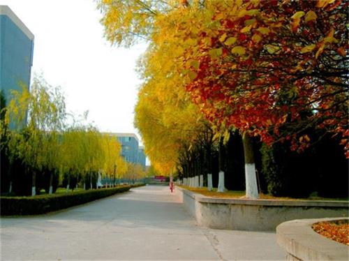 北京現(xiàn)代體育學(xué)院、航空乘務(wù)學(xué)院設(shè)施好嗎？