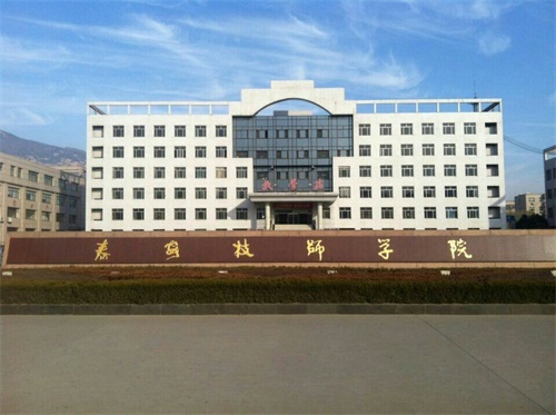 泰安技師學(xué)院好不好？