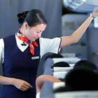 航空服務（票務、安檢方向）、航空乘務定向委培